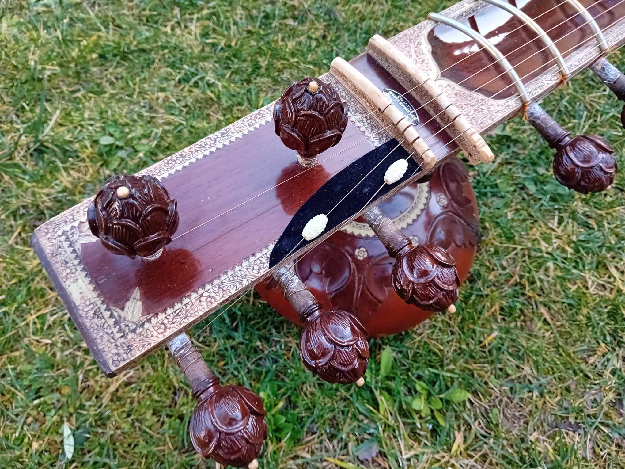 sitar